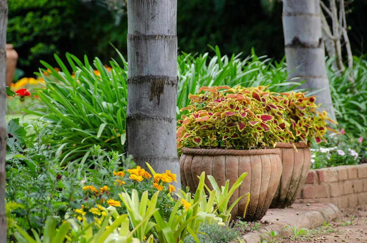 Hillside Manor Hotel Bulawayo Buitenkant foto